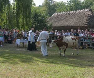 XX Podlaskie Święto Chleba - fotorelacja