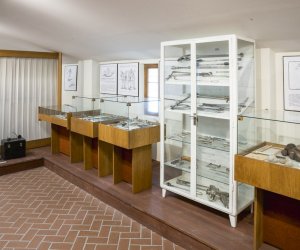 Muzeum Weterynarii