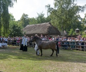 XX Podlaskie Święto Chleba - fotorelacja