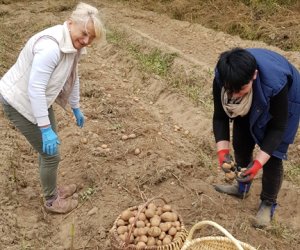 Tłoka w Muzeum Rolnictwa im. ks. Krzysztofa Kluka w Ciechanowcu 17 września 2019 r.