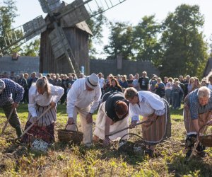 Jesień w polu i zagrodzie 2021 - fotorelacja