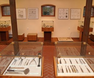 Odnowiona ekspozycja Muzeum Weterynarii