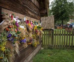 Niecodziennik Muzealny - Matka Boska Zielna złotych kłosów pełna...