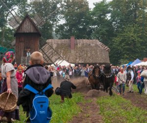 JESIEŃ W POLU I ZAGRODZIE