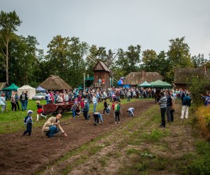 Jesień w polu i zagrodzie