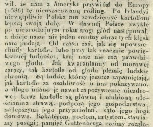 Niecodziennik muzealny - Uprawa ziemniaków w Polsce w XVIII i pierwszych dekadach XIX wieku.