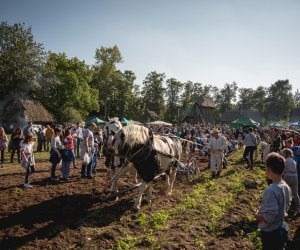 Jesień w polu i zagrodzie - fotorelacja