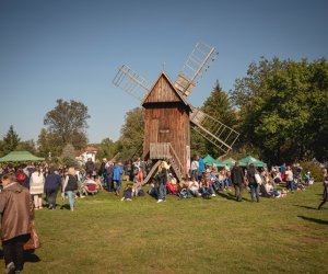 Jesień w polu i zagrodzie - fotorelacja