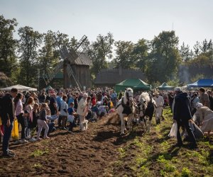 Jesień w polu i zagrodzie - fotorelacja