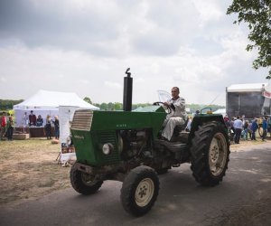 Piknik "Poznaj dobrą żywność" 2019 - fotorelacja