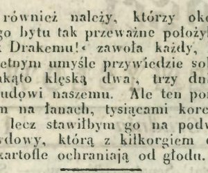 Niecodziennik muzealny - Uprawa ziemniaków w Polsce w XVIII i pierwszych dekadach XIX wieku.