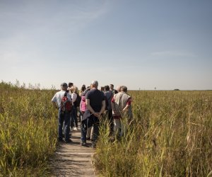 Konferencja naukowo-szkoleniowa: Parazytozy zwierząt - aktualne zagrożenia - nowe rowiązania terapeutyczne - fotorelacja