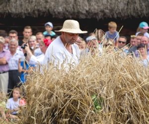 XIX Podlaskie Święto Chleba - fotorelacja