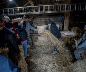 Konferencja ogólnopolska "Słoma, trzcina i wiklina" - fotorelacja