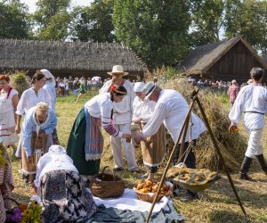 XX Podlaskie Święto Chleba - fotorelacja