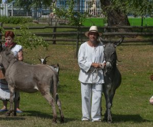 XX Podlaskie Święto Chleba - fotorelacja