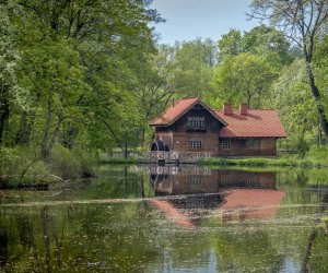 Młyn wodny – ekspozycje „Urządzenia młynarskie, żarna, stępy, miary, wagi”, „Muzeum Chleba”