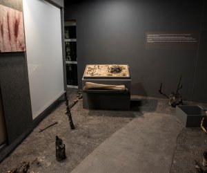 „Restauracja obiektów zespołu pałacowo-parkowego wraz z konserwacją muzealiów Muzeum Rolnictwa im. Ks. Krzysztofa Kluka w Ciechanowcu”