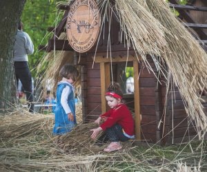 Piknik "Poznaj dobrą żywność" 2019 - fotorelacja