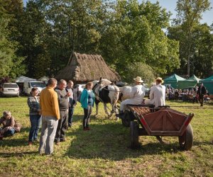 Jesień w polu i zagrodzie - fotorelacja