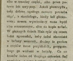 Niecodziennik muzealny - Uprawa ziemniaków w Polsce w XVIII i pierwszych dekadach XIX wieku.