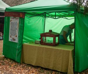 JESIEŃ W POLU I ZAGRODZIE