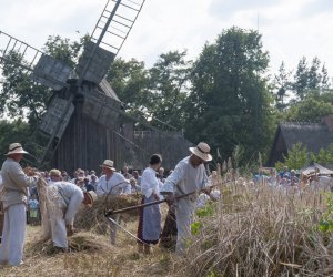 XX Podlaskie Święto Chleba - fotorelacja