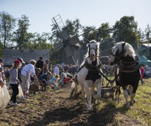 Jesień w polu i zagrodzie 2021 - fotorelacja