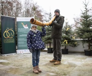 41. Konkurs Gry na Instrumentach Pasterskich im. Kazimierza Uszyńskiego - fotorelacja