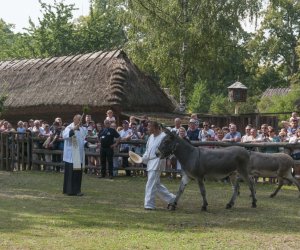 XX Podlaskie Święto Chleba - fotorelacja