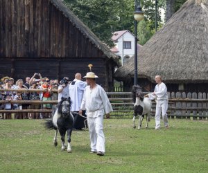 XXI Podlaskie Święto Chleba - fotorelacja