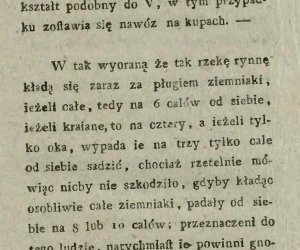 Niecodziennik muzealny - Uprawa ziemniaków w Polsce w XVIII i pierwszych dekadach XIX wieku.