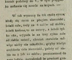 Niecodziennik muzealny - Uprawa ziemniaków w Polsce w XVIII i pierwszych dekadach XIX wieku.