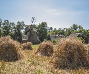 DZIAŁ HISTORII UPRAWY ROŚLIN I HODOWLI ZWIERZĄT