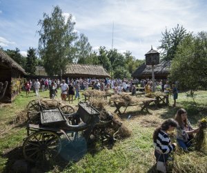 XX Podlaskie Święto Chleba - Konkurs na Wykonanie Równianki