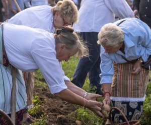 „Jesień w polu i zagrodzie” 2023 r. - fotorelacja i podsumowanie