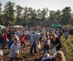 Jesień w polu i zagrodzie - fotorelacja