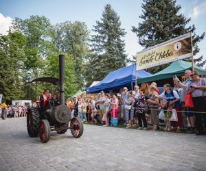 XIX Podlaskie Święto Chleba - fotorelacja