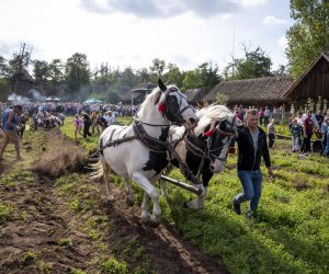 „Jesień w polu i zagrodzie” 2023 r. - fotorelacja i podsumowanie