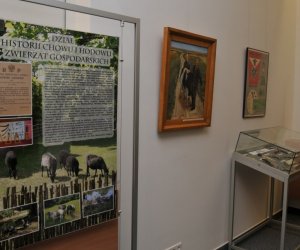 Wystawa z okazji jubileuszu 50-lecia Muzeum i 30 lat współpracy z SGGW pt."50 lat Muzeum Rolnictwa im. ks. Krzysztofa Kluka w Ciechanowcu"