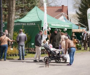 Jarmark św. Wojciecha - fotorelacja