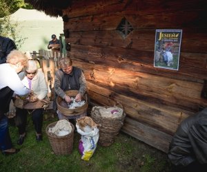 Jesień w polu i zagrodzie - fotorelacja