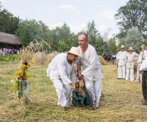 XX Podlaskie Święto Chleba - fotorelacja