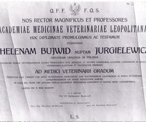 NIECOdziennik Muzealny - Helena Jurgielewiczowa (1897-1980) – lekarz medycyny weterynaryjnej i oficer Wojska Polskiego