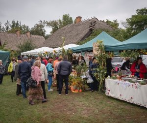 Jesień w polu i zagrodzie - fotorelacja