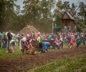 Jesień w polu i zagrodzie