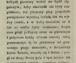 Niecodziennik muzealny - Uprawa ziemniaków w Polsce w XVIII i pierwszych dekadach XIX wieku.