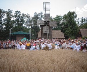 XIX Podlaskie Święto Chleba - fotorelacja