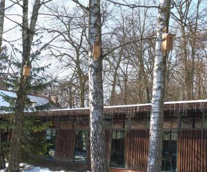 Nowe budki lęgowe w muzealnym parku