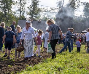 „Jesień w polu i zagrodzie” 2023 r. - fotorelacja i podsumowanie